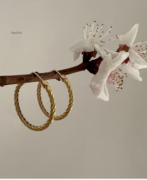 گوشواره دایره